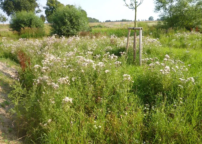 4 Jahreszeiten By Interhome Feriehus Groß Schwansee